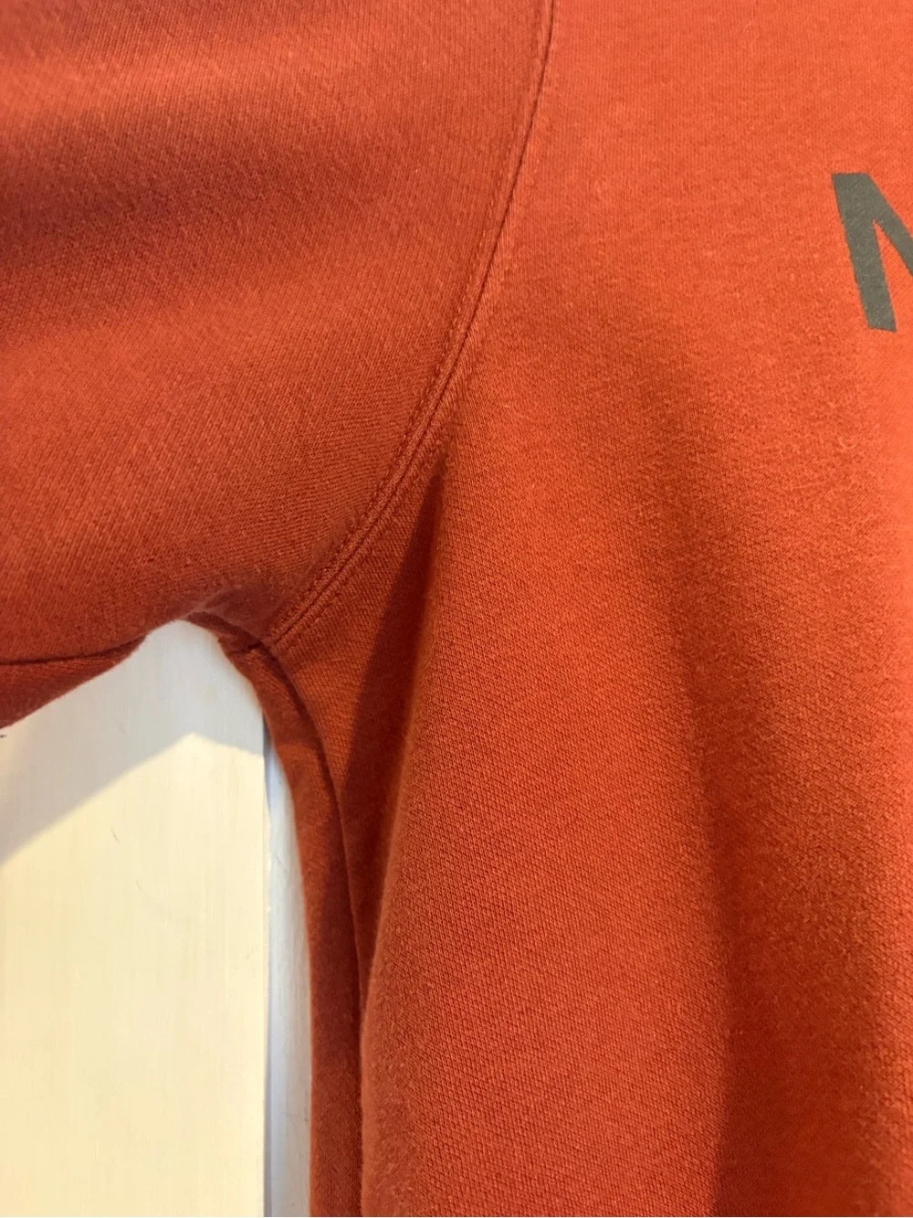 The North Face Men's Half Dome Pullover Hoodie Burnt Orange Rust Large Gorpcore